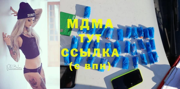 индика Осташков