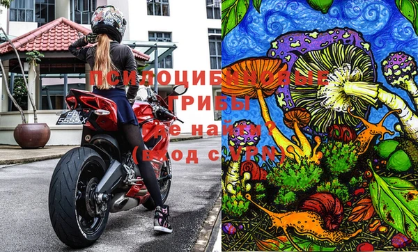 амф Остров