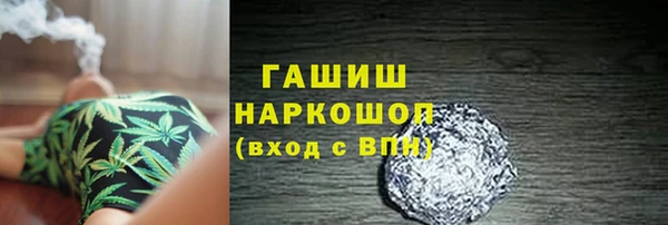 индика Осташков