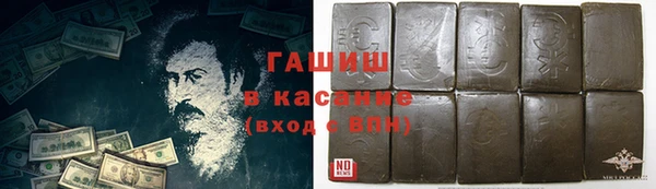 индика Осташков