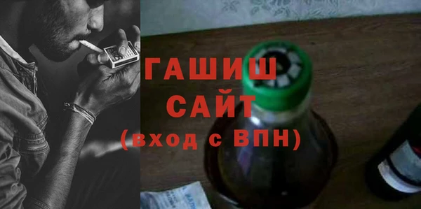 индика Осташков