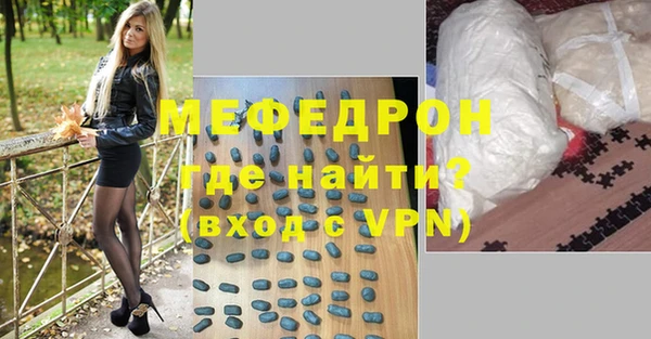 индика Осташков