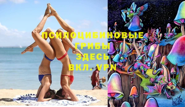 индика Осташков