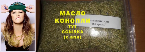 индика Осташков