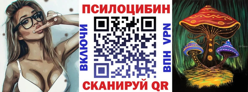 купить цена Аткарск Галлюциногенные грибы Psilocybe